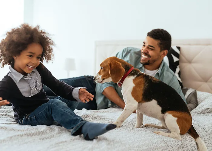 アパートホテル シタディーン バスティーユ ガル ドゥ リヨン 3*